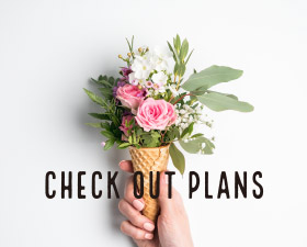 Check Out Plans